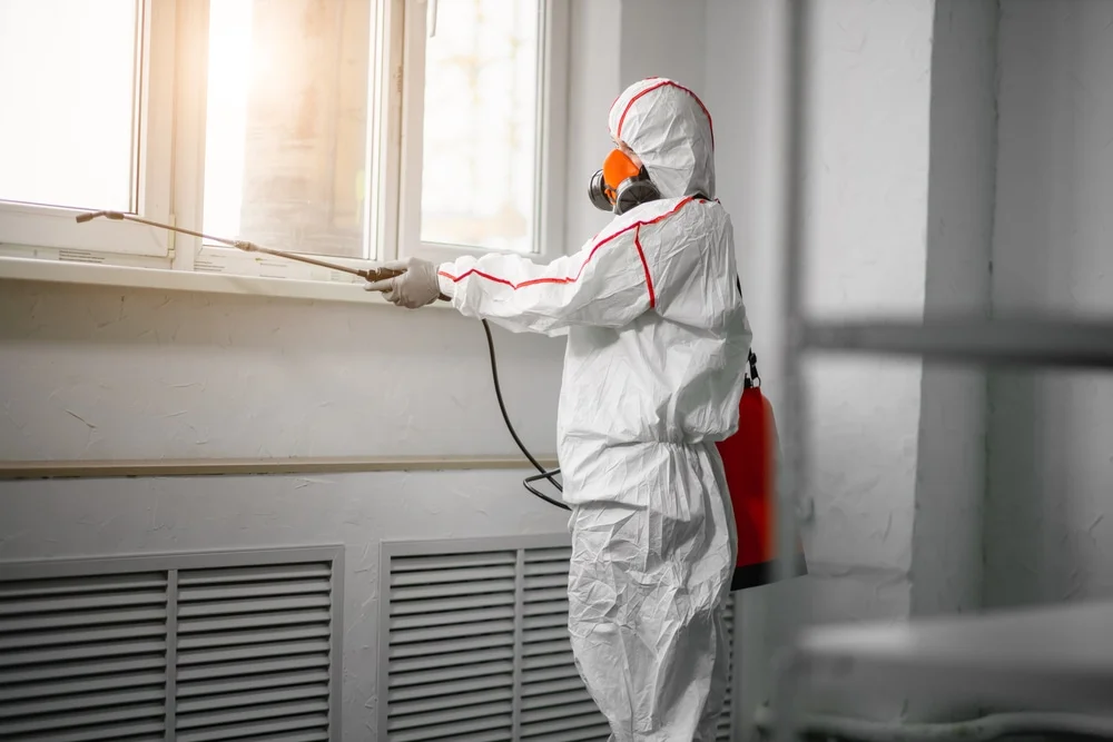 Professional mold remediation services in East Palatka, FL